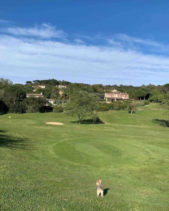 Maison Classee Sur Le Golfe De St Tropez Saint-Tropez Dış mekan fotoğraf