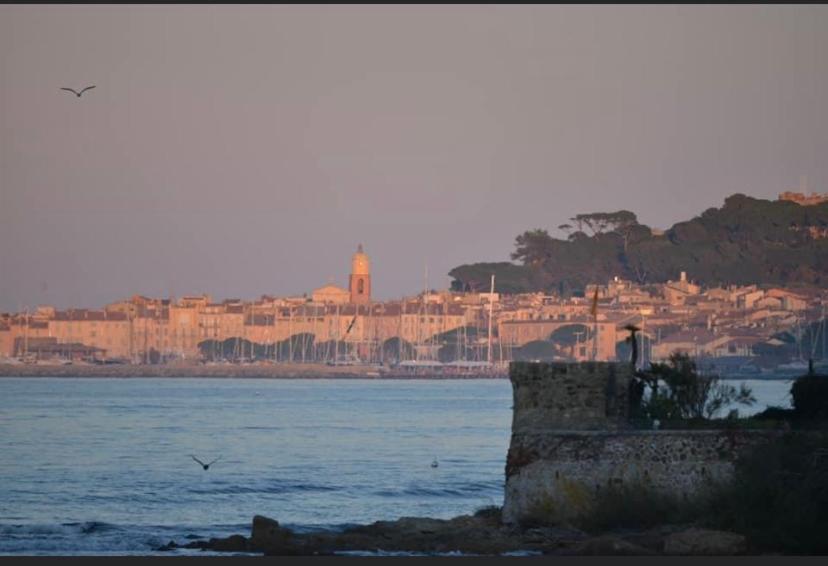 Maison Classee Sur Le Golfe De St Tropez Saint-Tropez Dış mekan fotoğraf